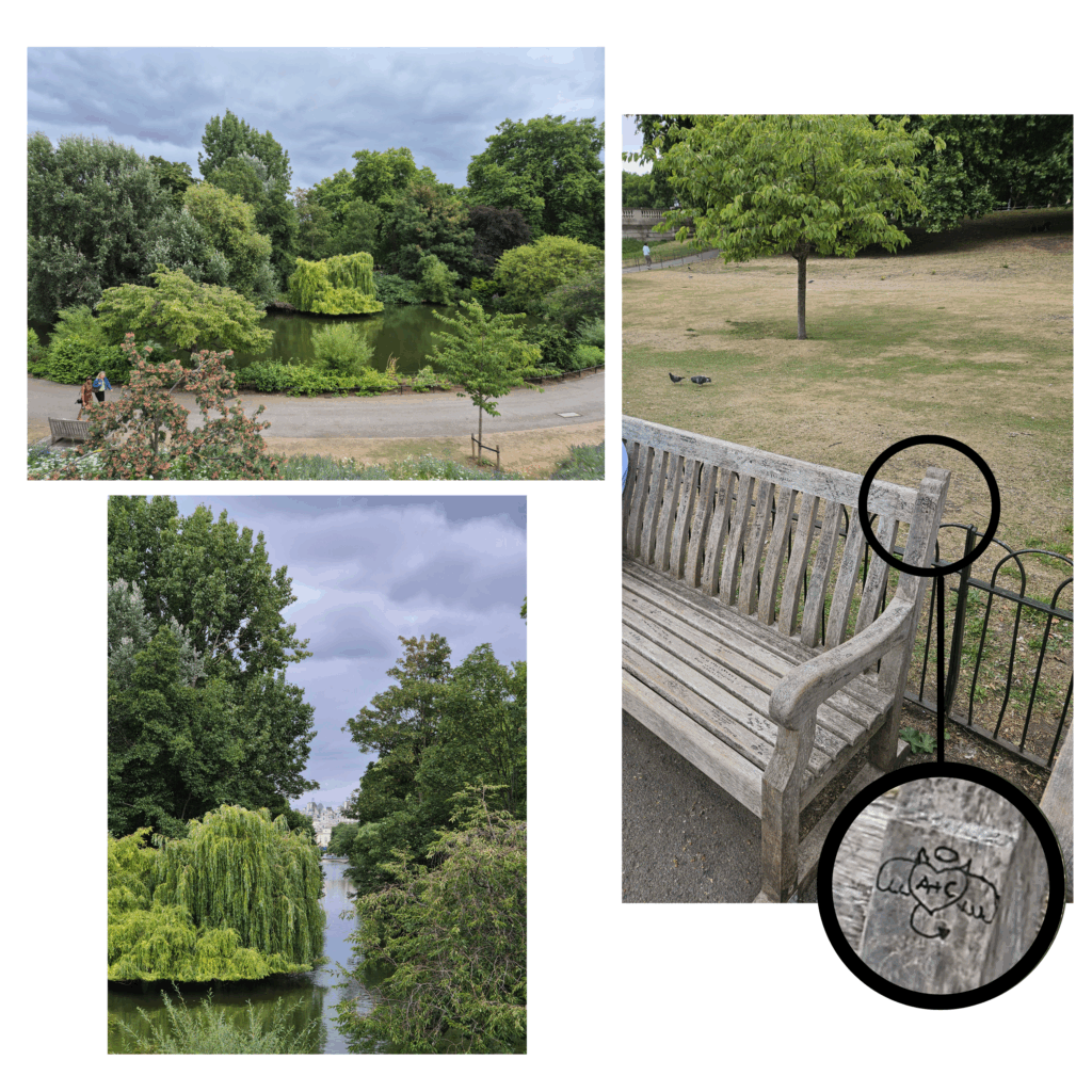 St. James Park